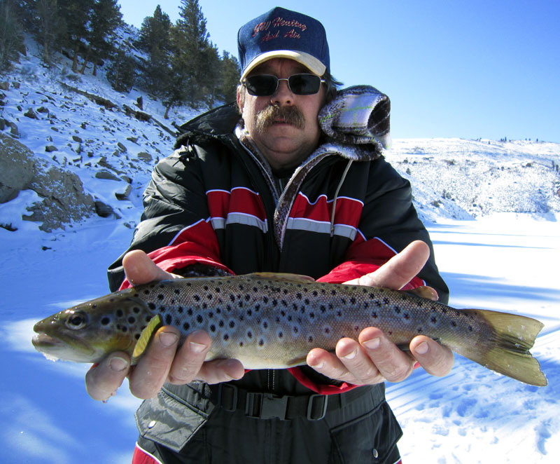 Blue Mesa Ice Fishing Brown Trout