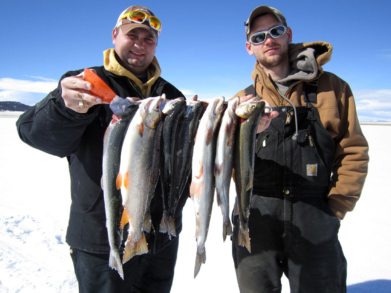 11 mile trout ice fishing