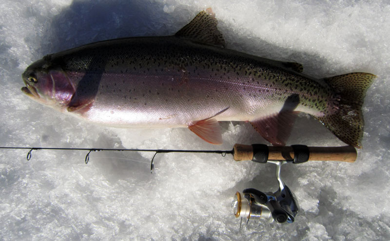 Colorado ice fishing
