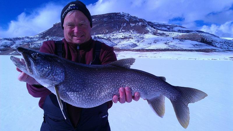 Trophy Lake Trout on Blue MESA Ice!