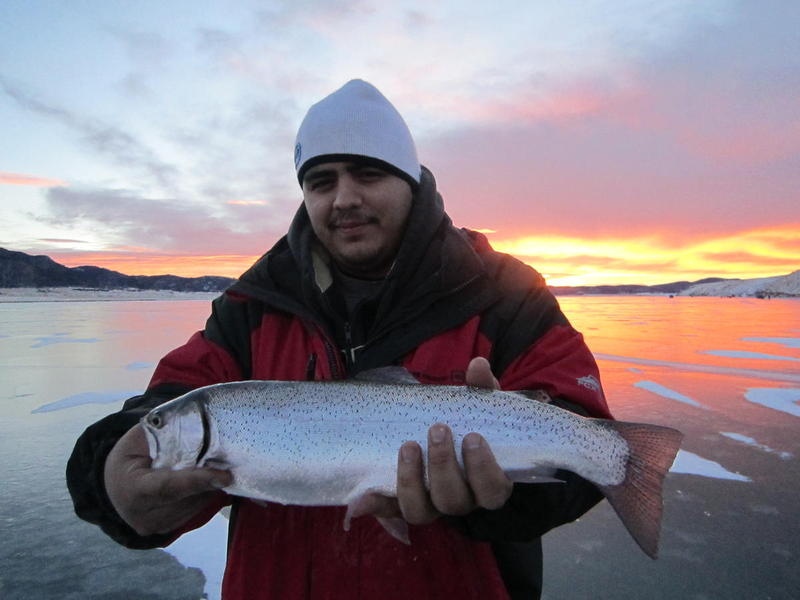 Eleven Mile Sunrise rainbow trout!