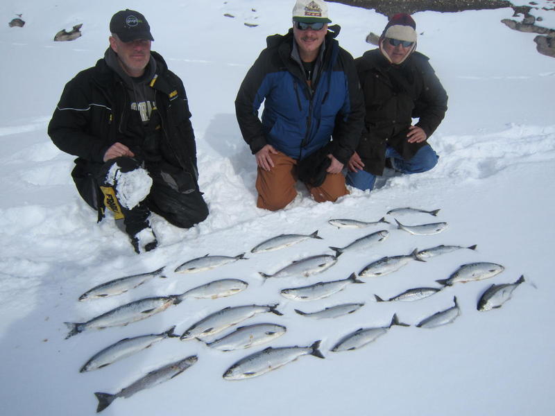 Blue Mesa Kokanee salmon ice fishing!