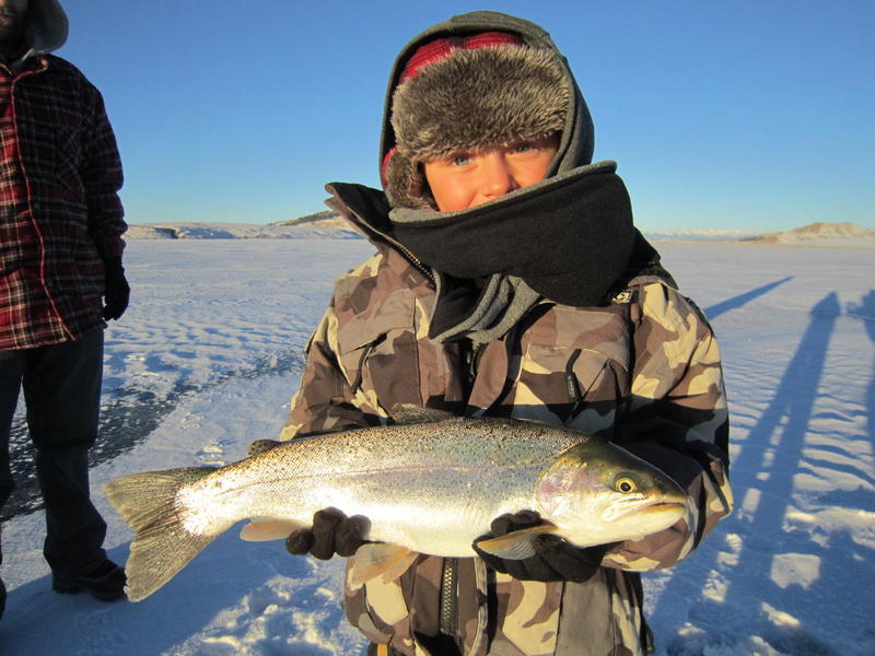 Eleven Mile rainbow trout ice fishing!