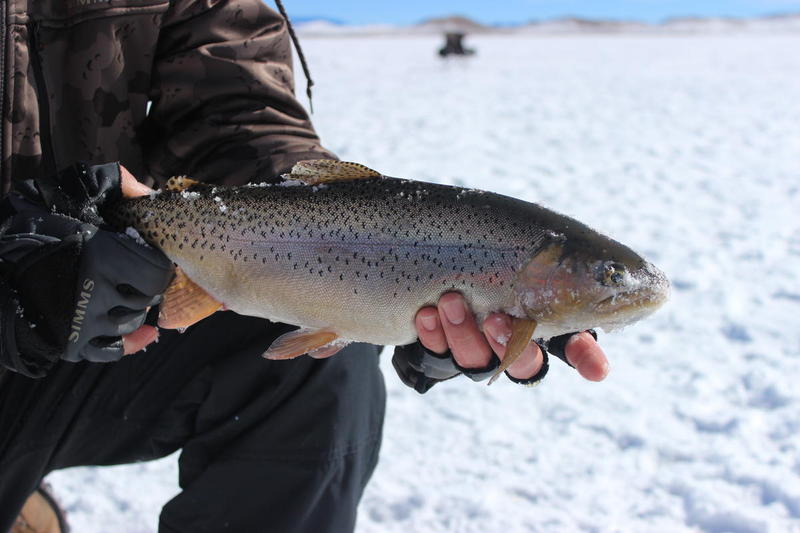 Antero Ice fishing 2015