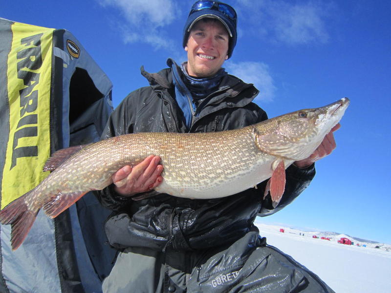 Trophy Colorado Pike through the ice 2014