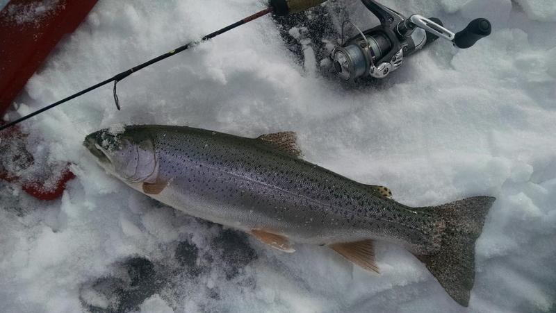 Colorado ice fishing 2015