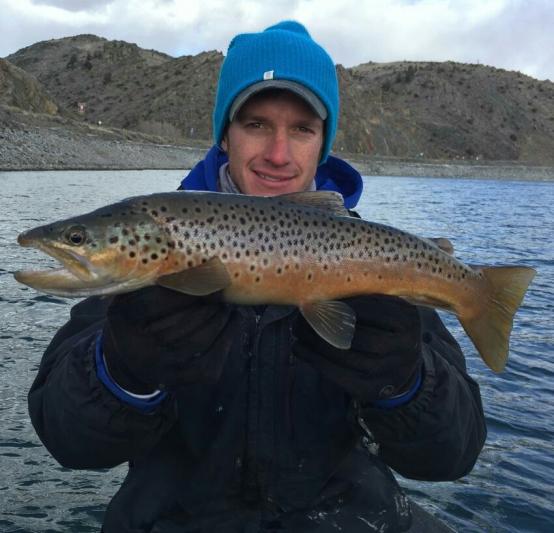 Brown Trout from Blue MEsa Reservoir December 2015