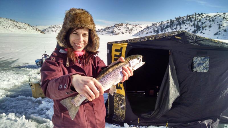 colorado ice fishing, rainbow trout