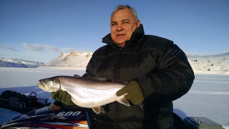 Blue Mesa lake trout, 2016 ice fishing