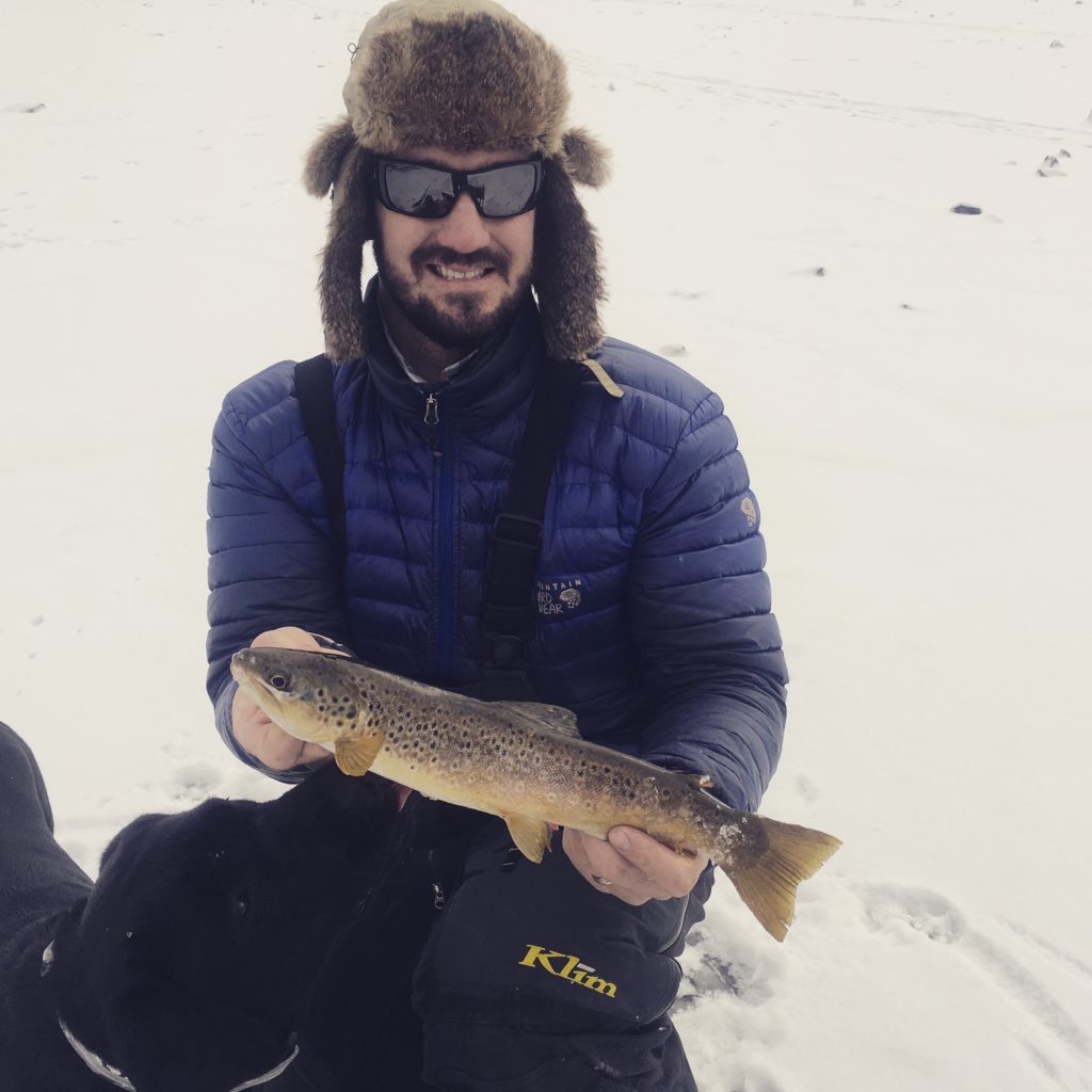 Colorado brown trout at first ice!