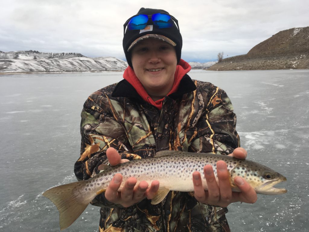 Blue Mesa brown trout at first ice!