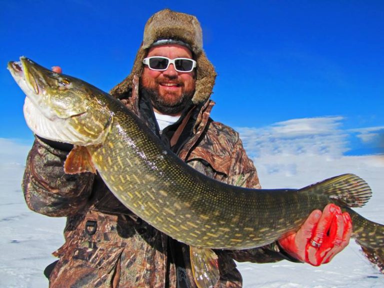 Eleven Mile ice fishing report and conditions for January
