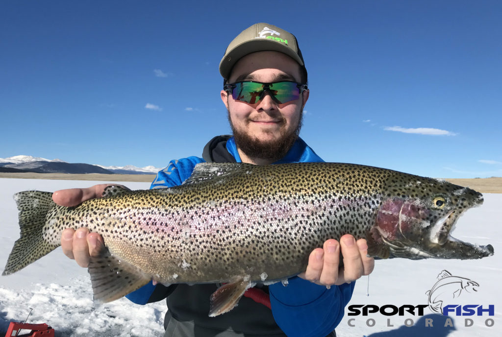 trophy antero reservoir rainbow trout