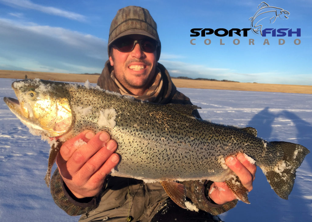 Colorado trophy rainbow trout ice fishing antero reservoir