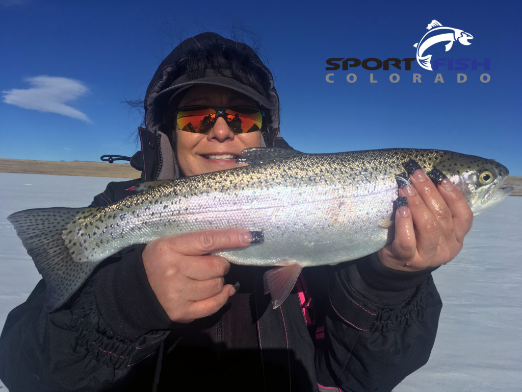 rainbow trout ice fishing antero