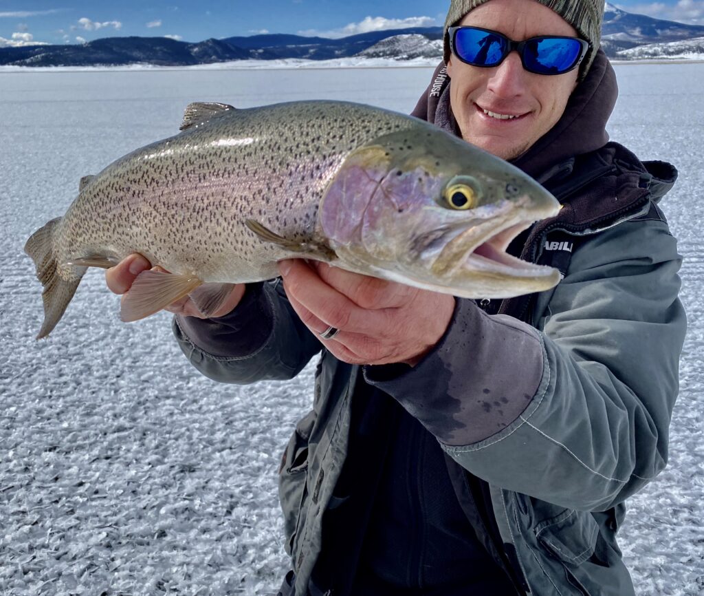 Colorado rainbow trout through the ice